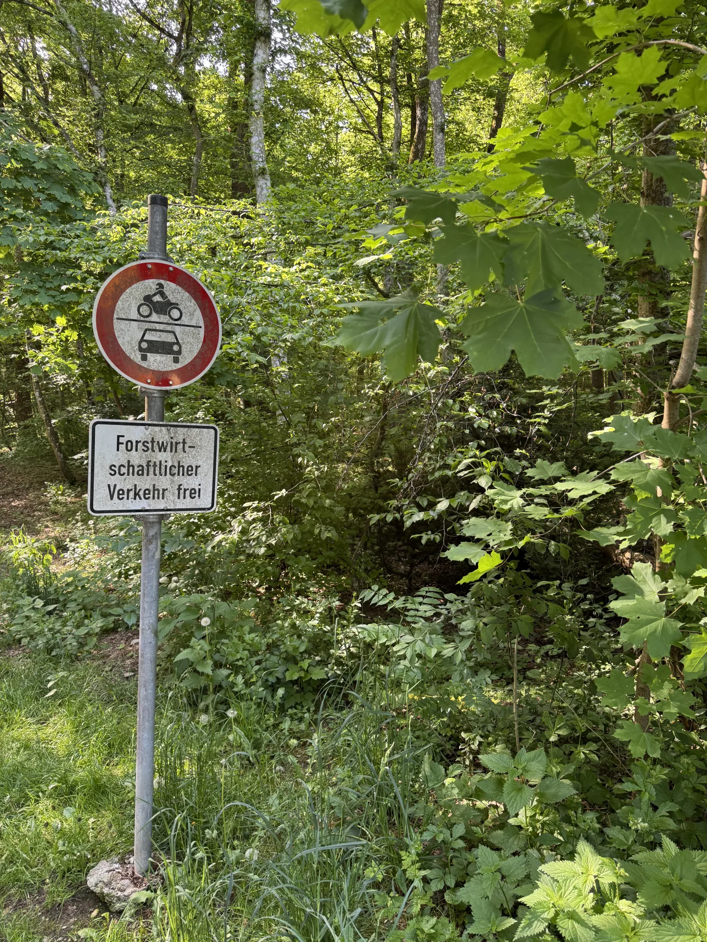 Einzelabschuss Fuchs bei München