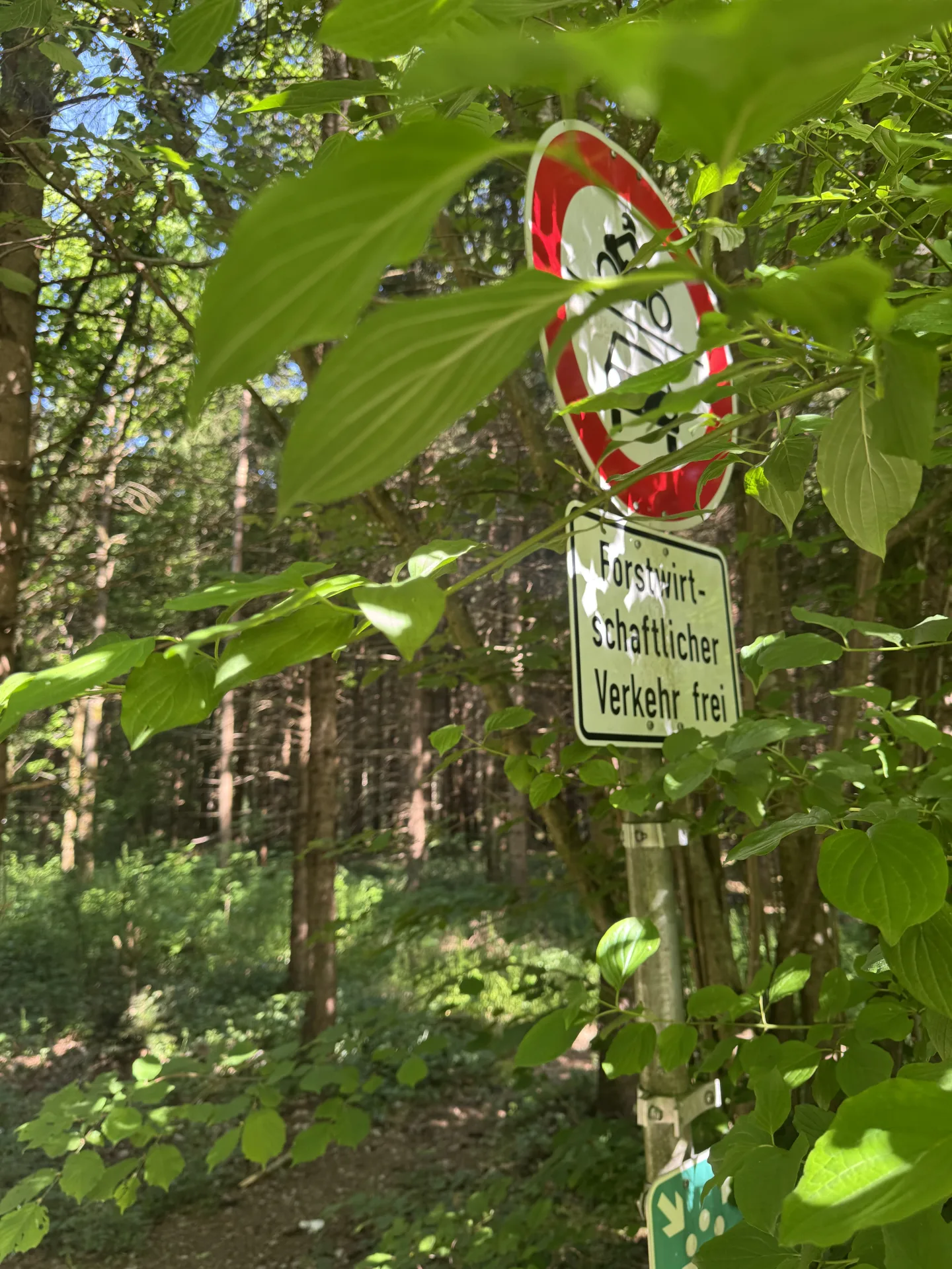 Begehungsschein im Niederwildrevier bei Augsburg - Bild 2