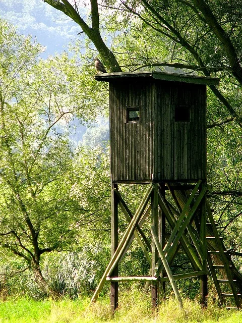 Pacht im Niederwildrevier bei Erding - Bild 2