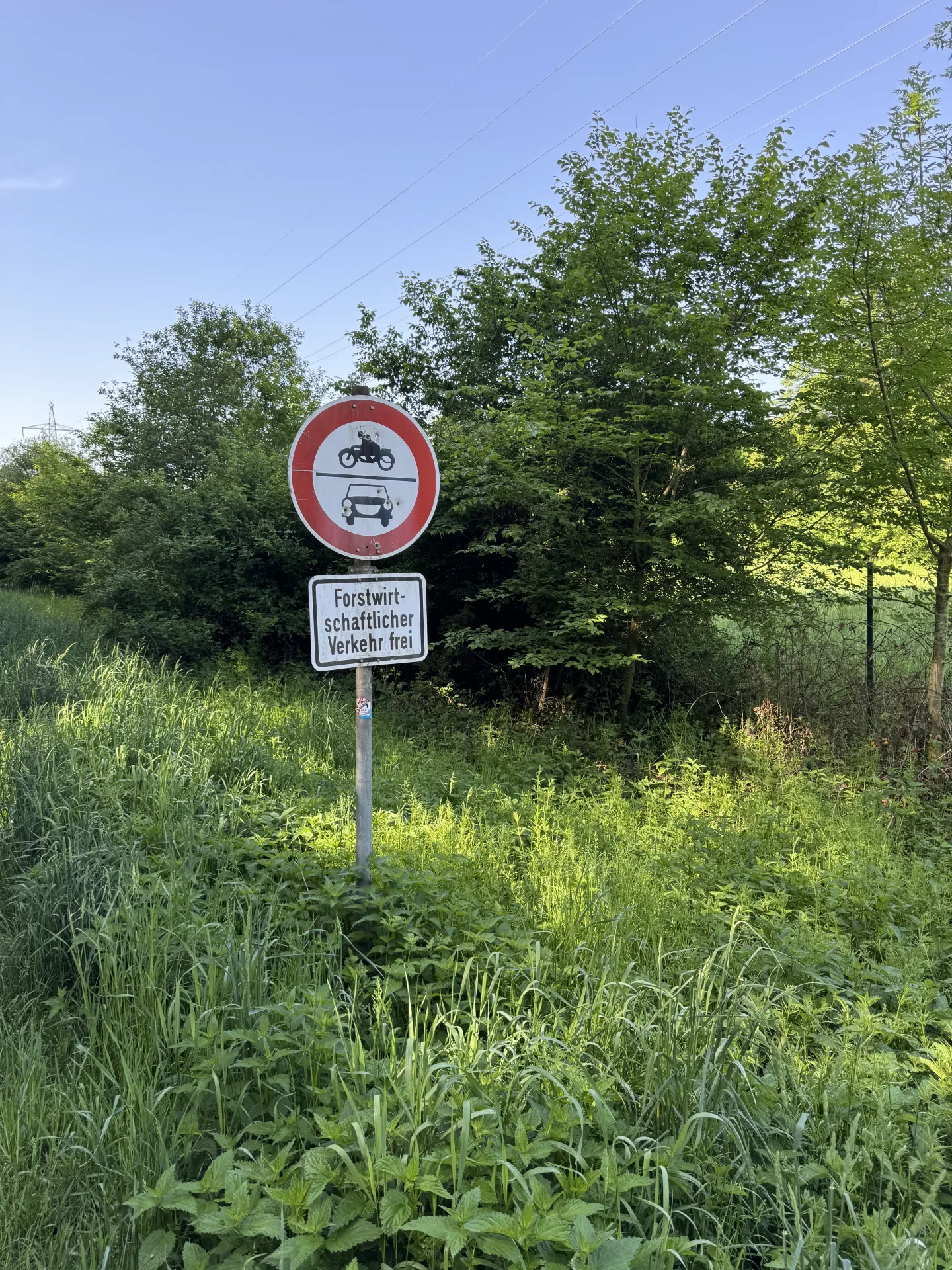 Einzelabschuss Federwild bei Dunsdorf