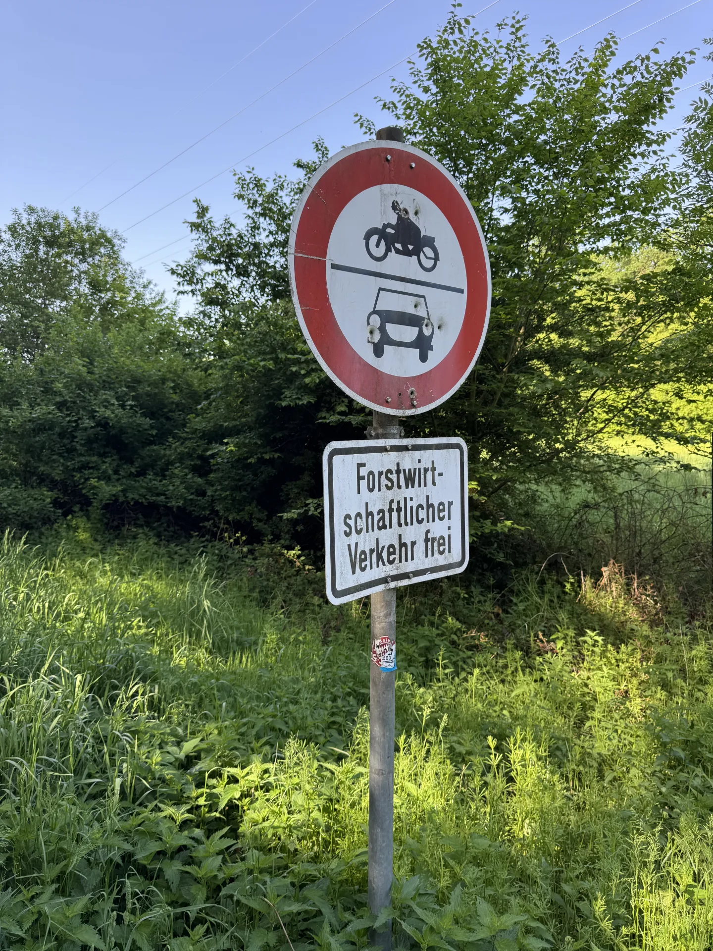 Einzelabschuss Federwild bei Dunsdorf - Bild 3