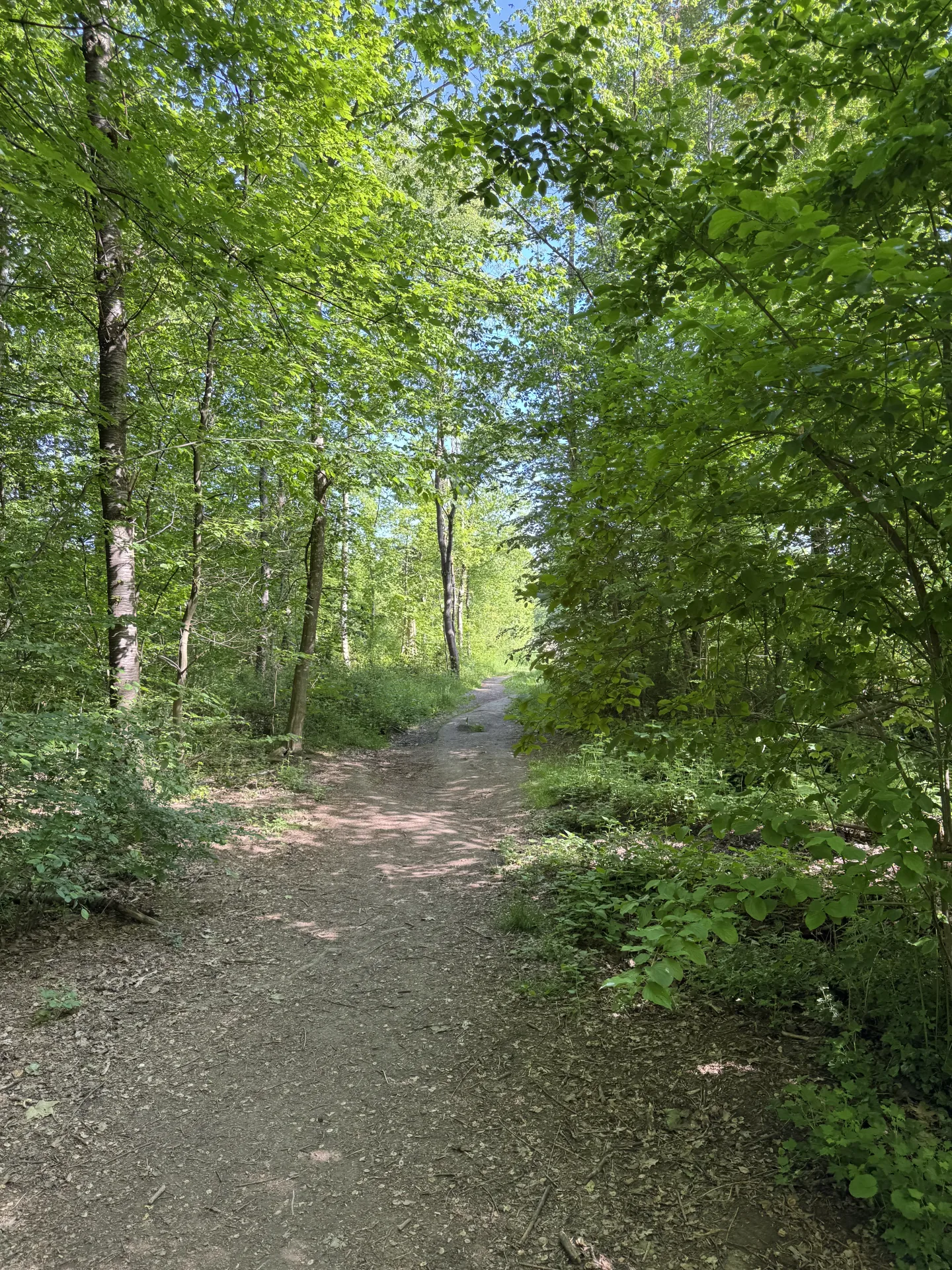Pacht im Niederwildrevier bei Treuchtlingen