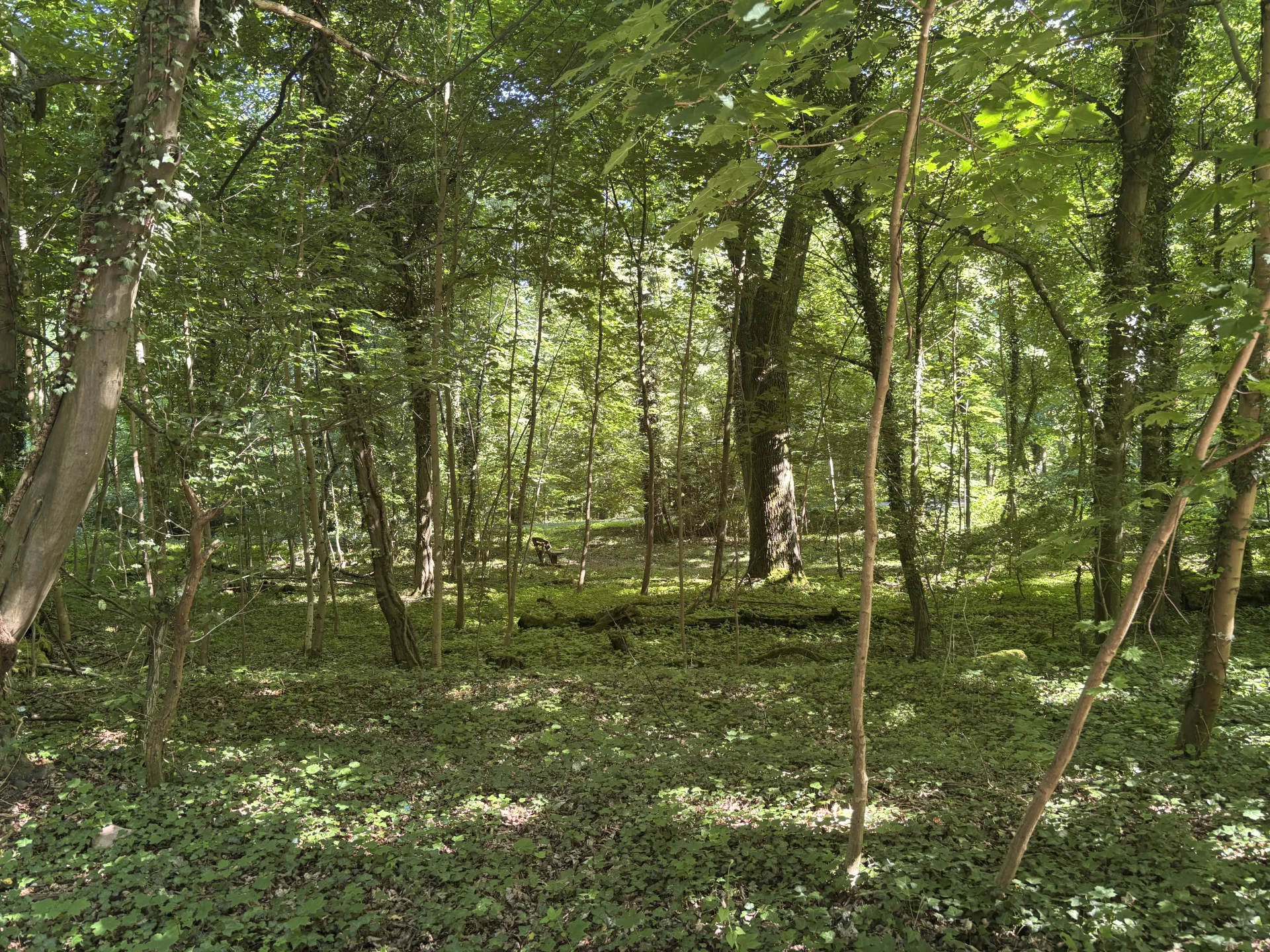 Begehungsschein im Niederwildrevier bei Stammham