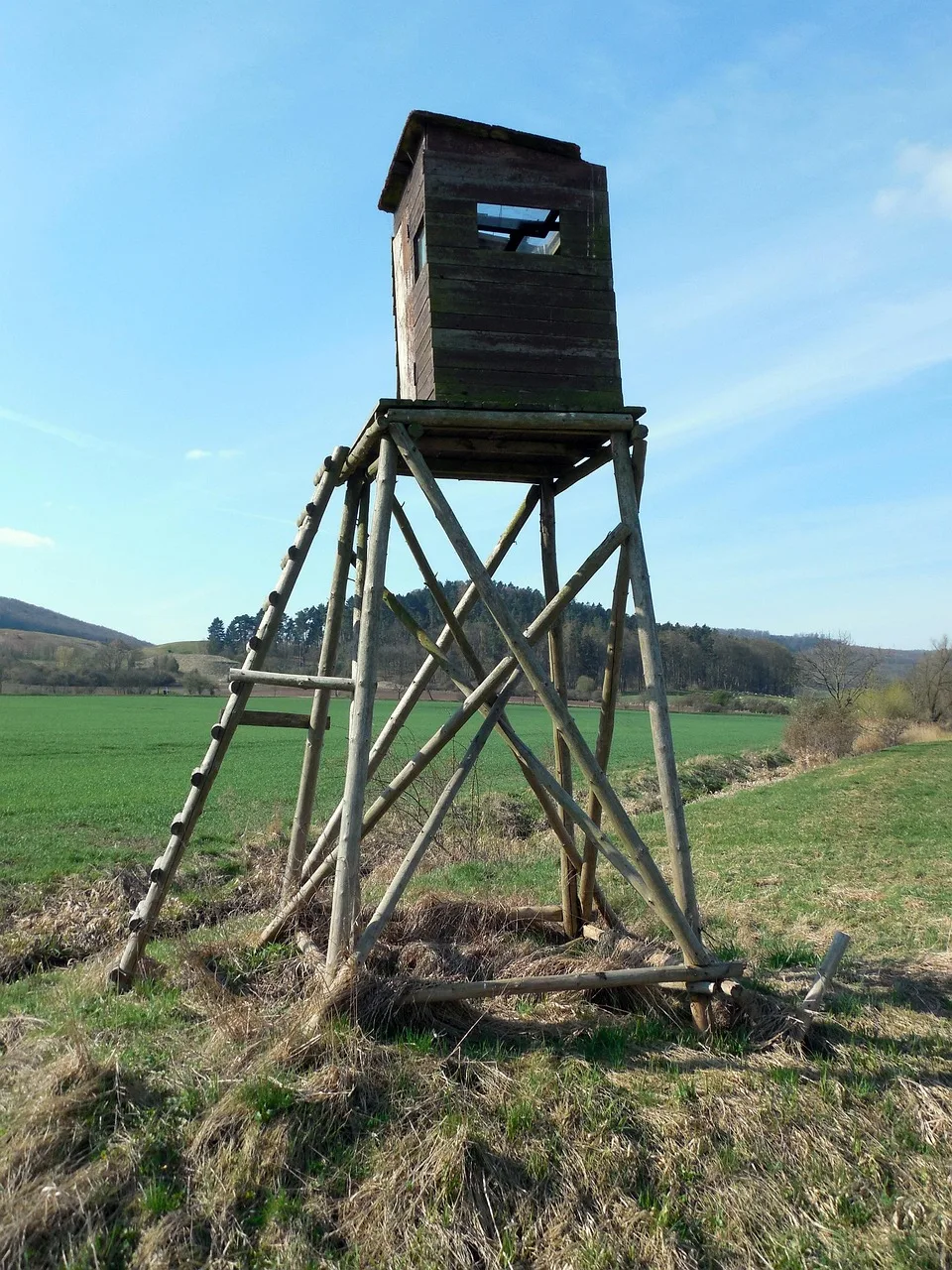 Pacht im Niederwildrevier bei Miesbach - Bild 2
