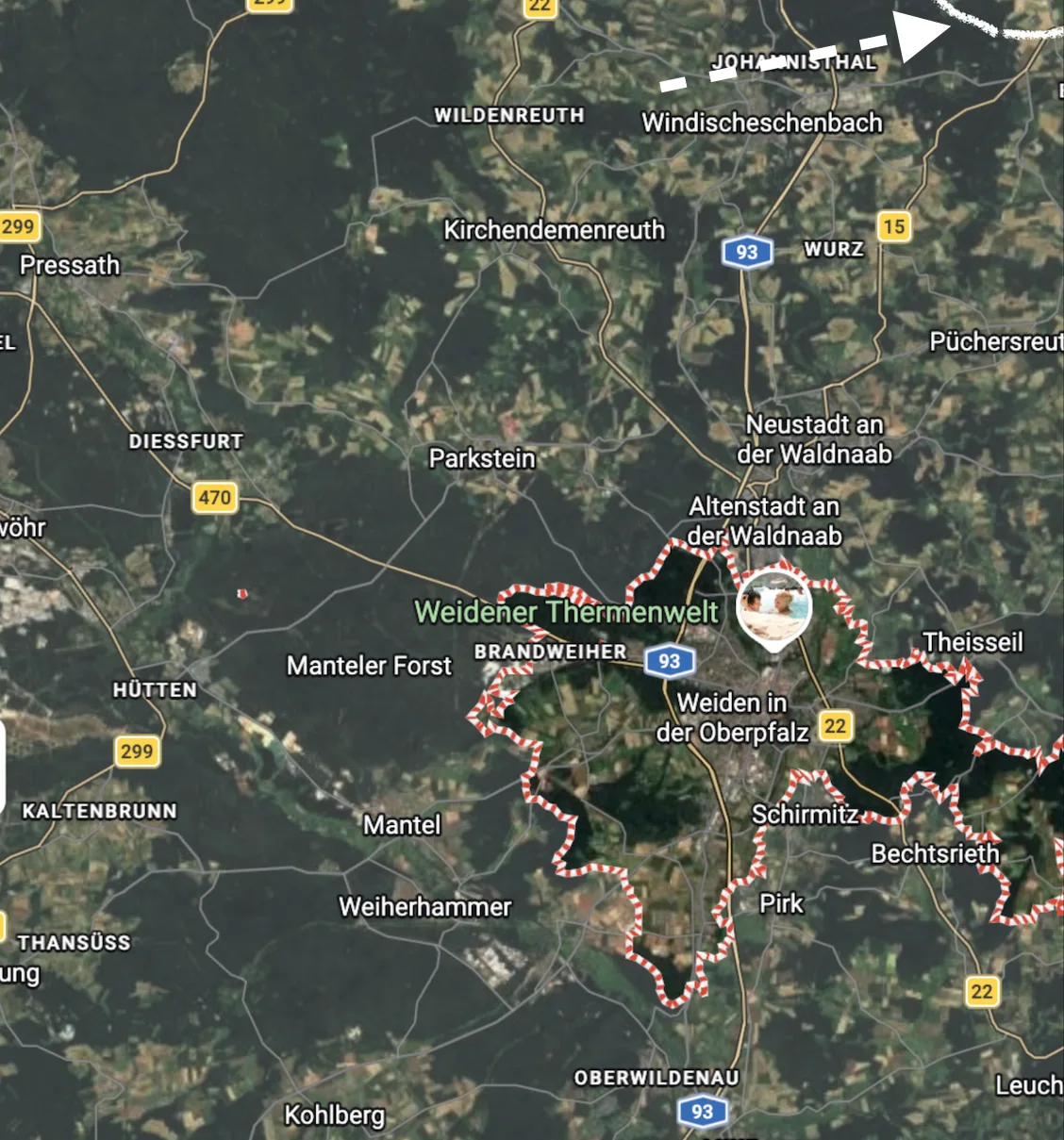 Einzelabschuss Rehwild bei Weiden