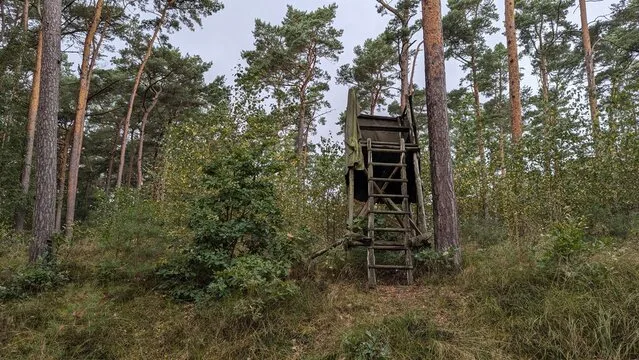 Begehungsschein im Niederwildrevier bei Karlskron