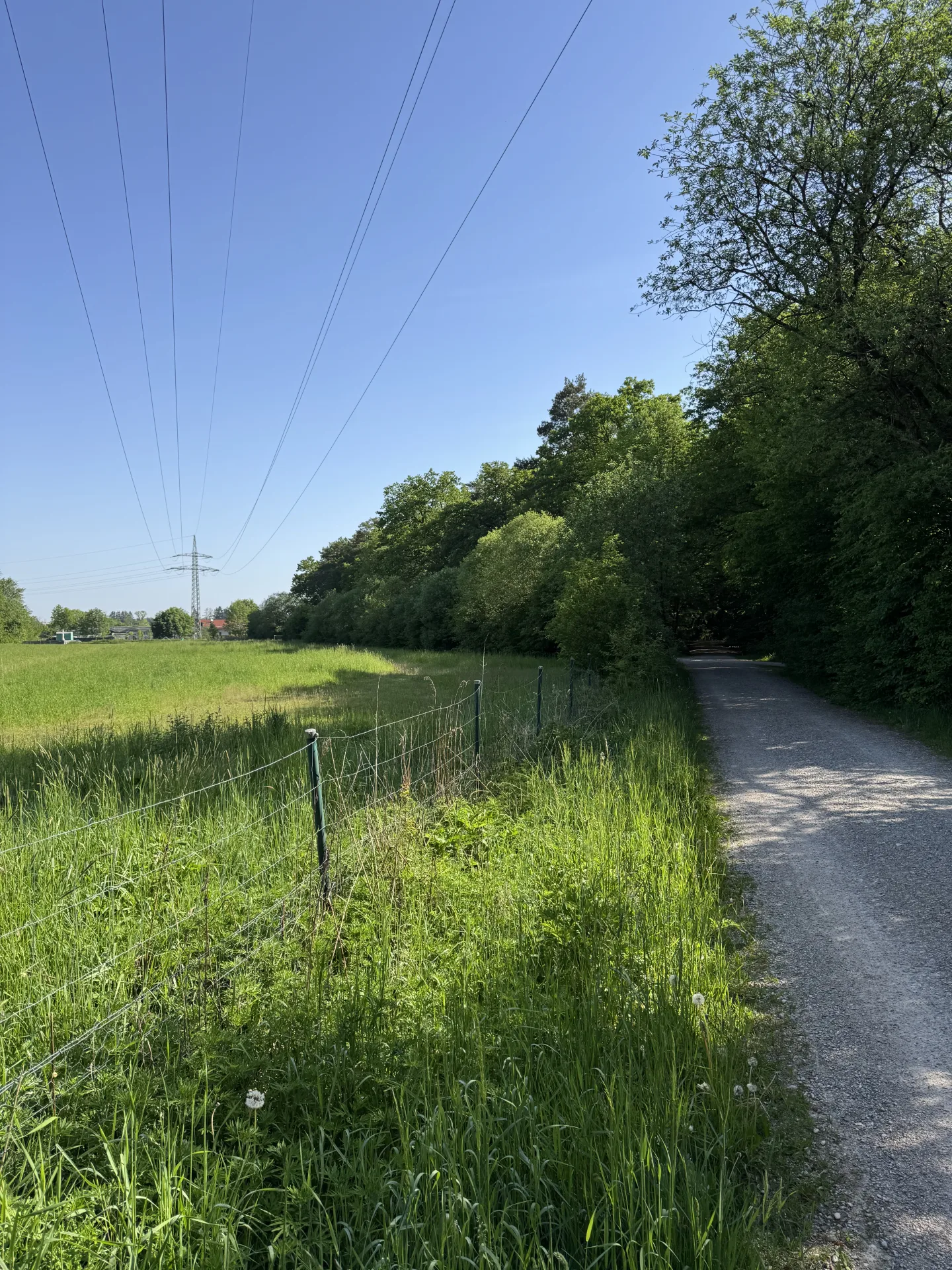 Begehungsschein bei Cottbus (Brandenburg), 165 ha - Bild 2