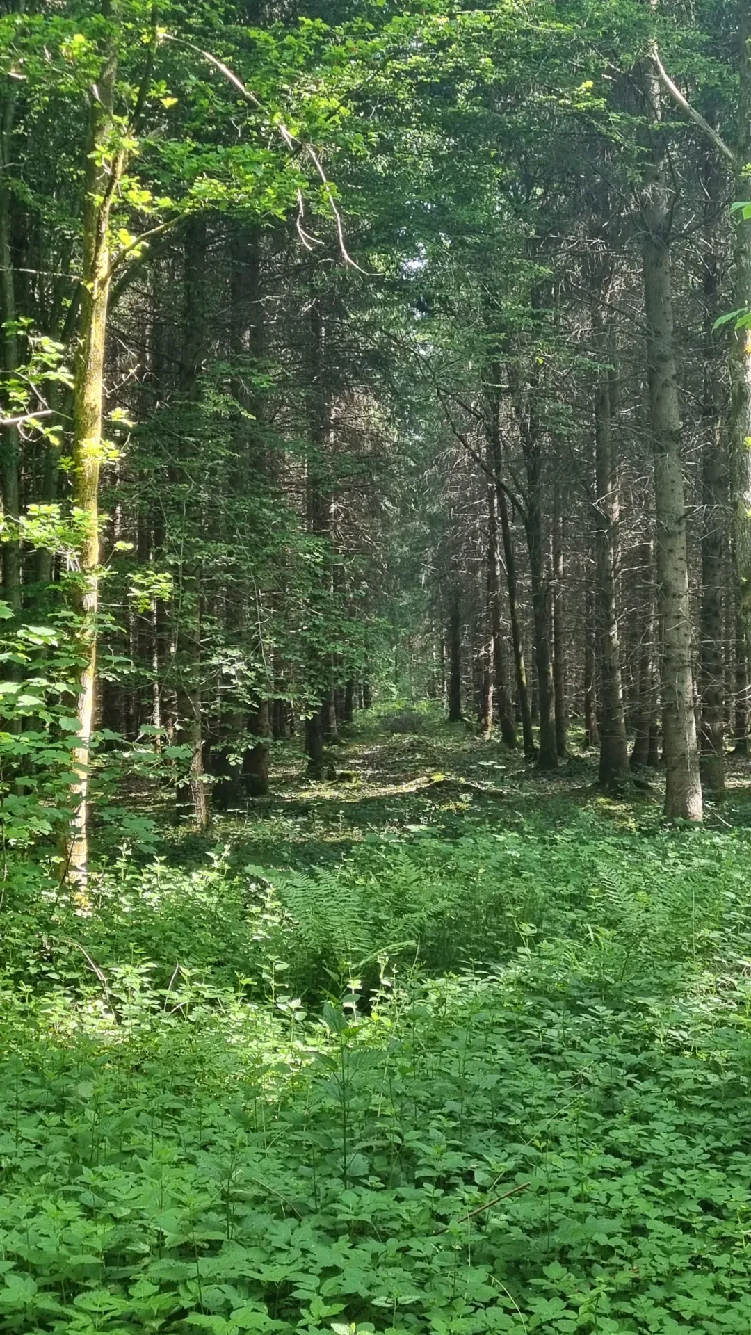 Pacht im Niederwildrevier bei Eichstätt