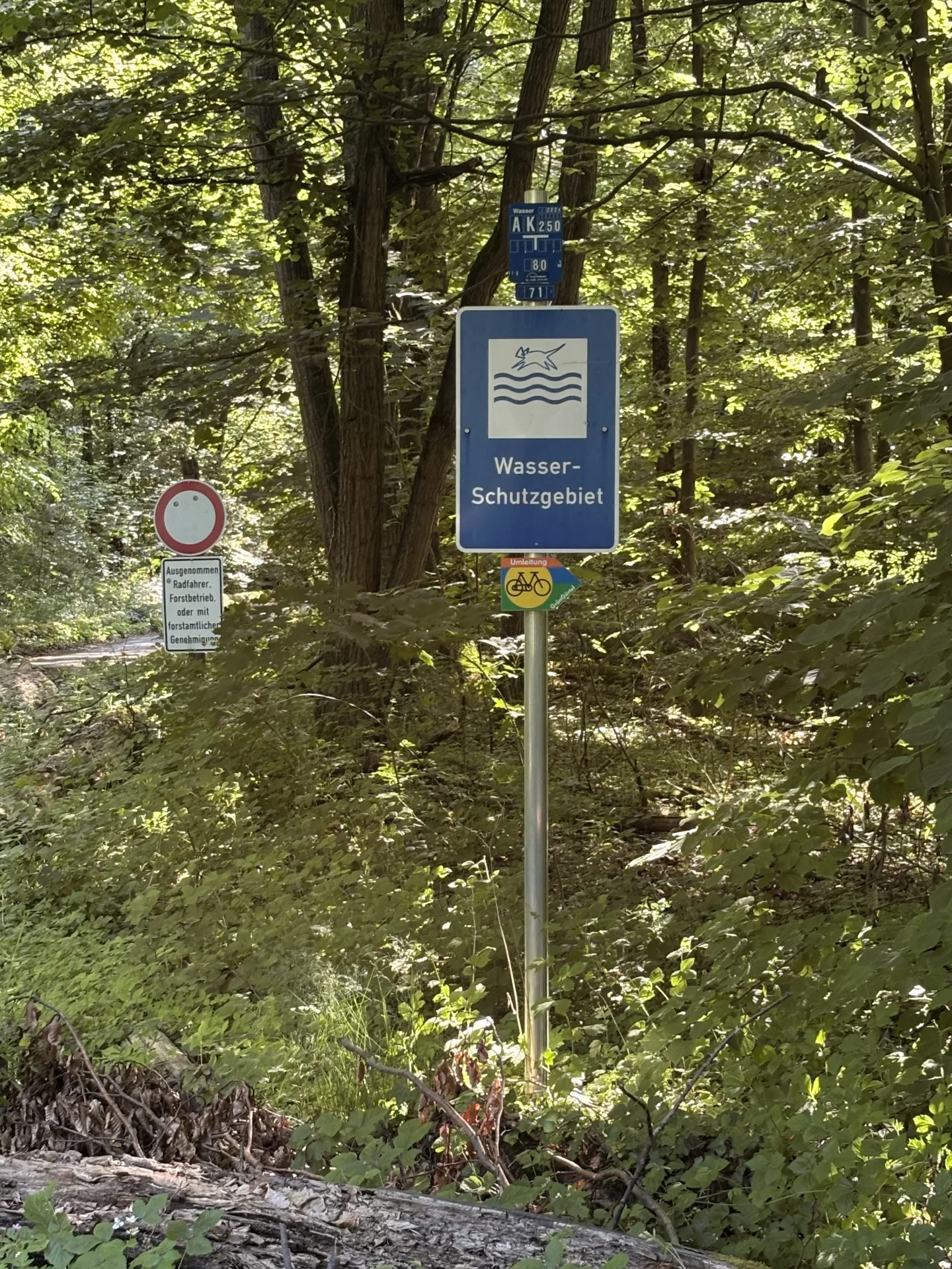 Begehungsschein im Niederwildrevier bei Dachau - Bild 2