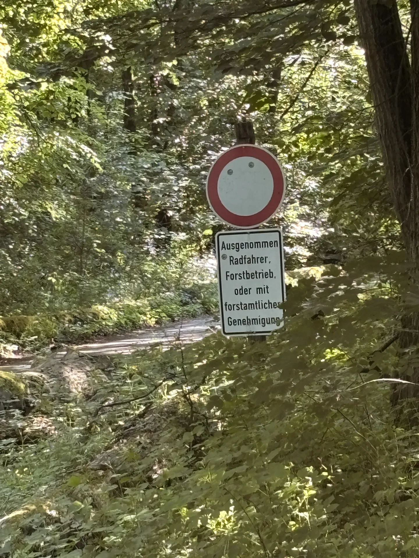 Begehungsschein im Niederwildrevier bei Kelheim - Bild 2