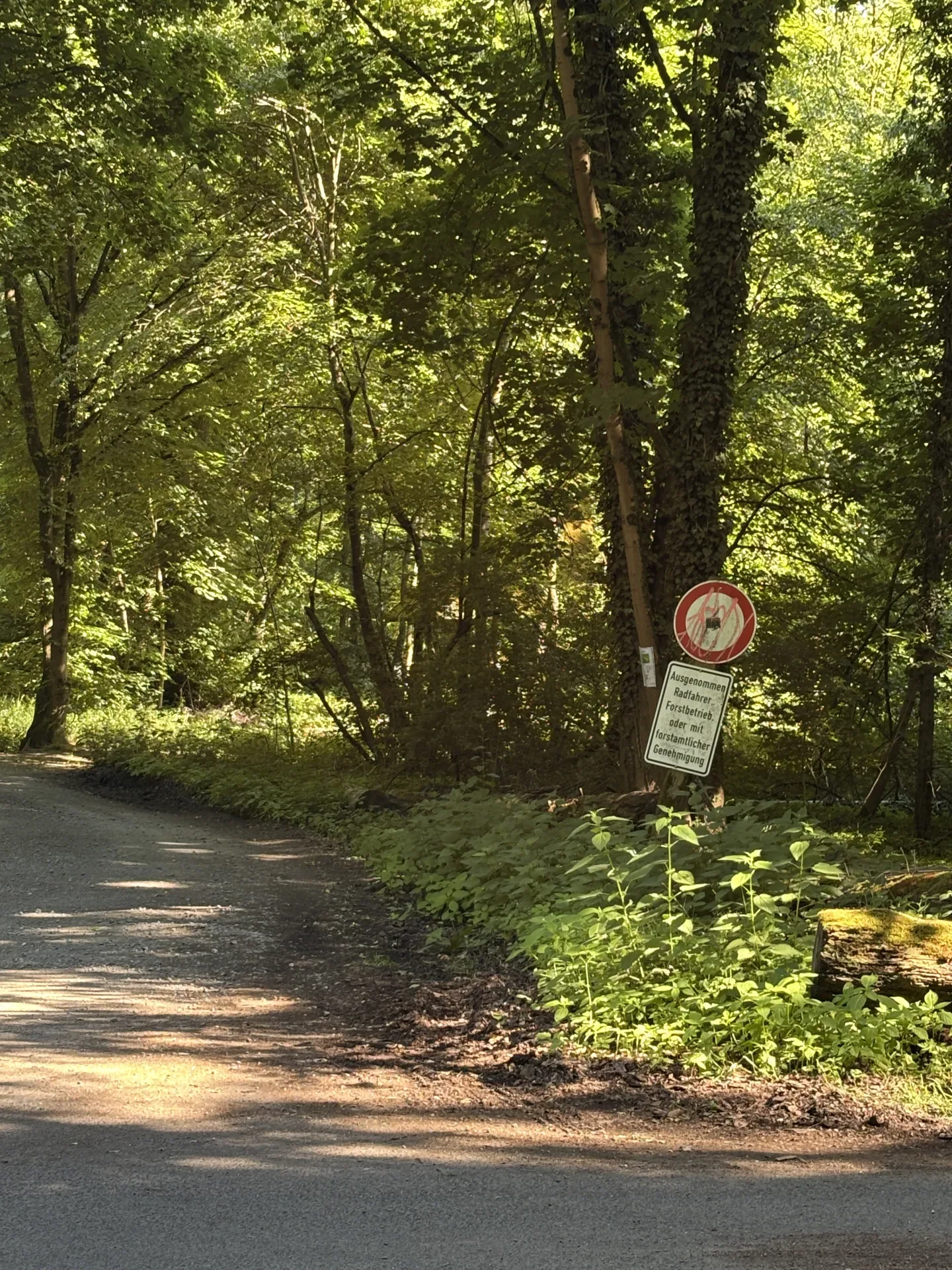 Pacht im Niederwildrevier bei Memmingen
