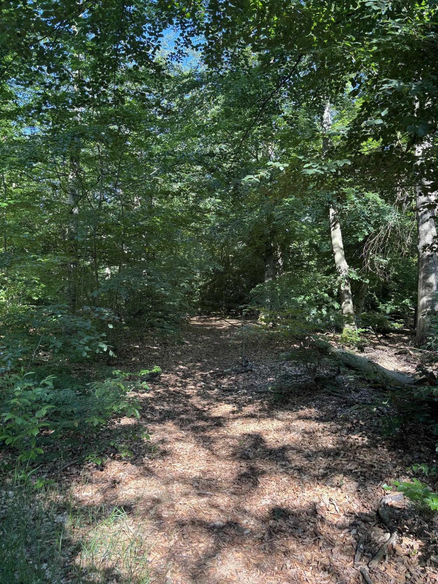 Pacht im Niederwildrevier bei Miesbach
